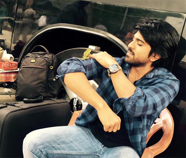 bruce lee reviews,ramcharan attacked,bruce lee promotions  బ్రూస్ లీ పై ఇంత కక్ష కట్టారా?